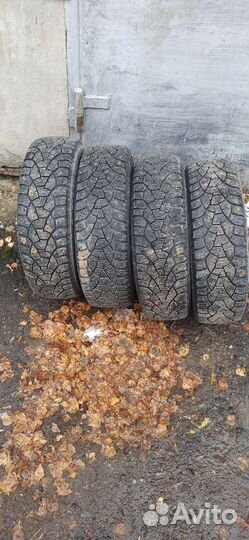 Matador MP 51 Sibir 2 175/65 R14