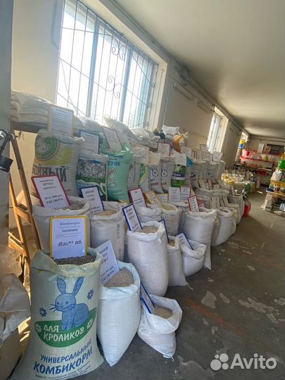 Подсолнечный фуз