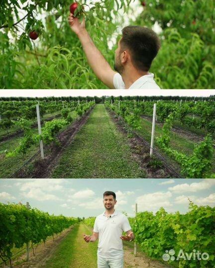 Видеосъемка, аэросъемка, монтаж видео