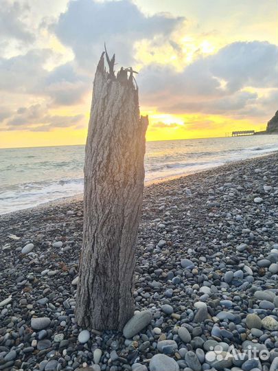 Кора для терариума