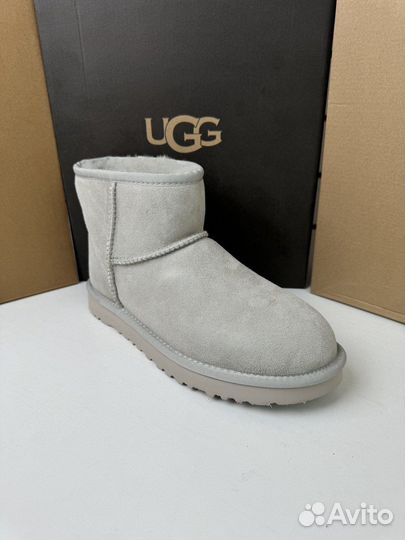 Угги Ugg Classic Mini II Grey-Violet