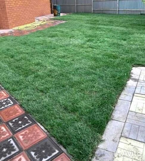 Рулонный газон