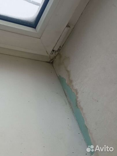 Ремонт пластиковых окон. Москитные сетки