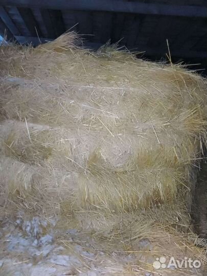 Сено в тюках