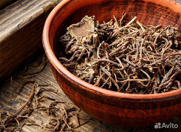 Корень лопуха, одуванчика, пырея, копеечник