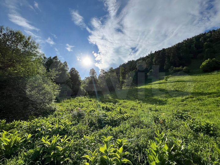 Участок 10 сот. (СНТ, ДНП)