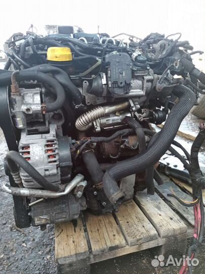 Двигатель 2.0 M9R782