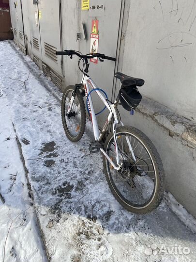 Аренда Велосипедов