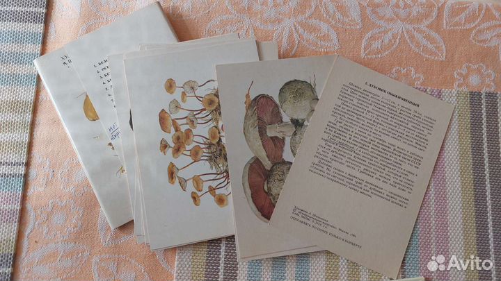 4 кулинарные книги + открытки с грибочками