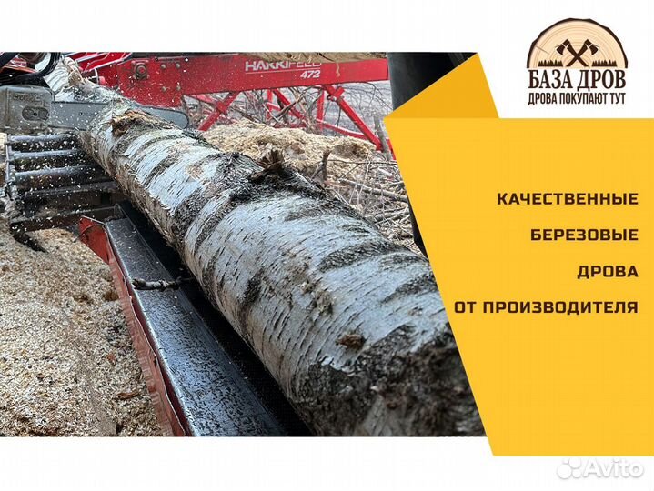 Дрова березовые колотые