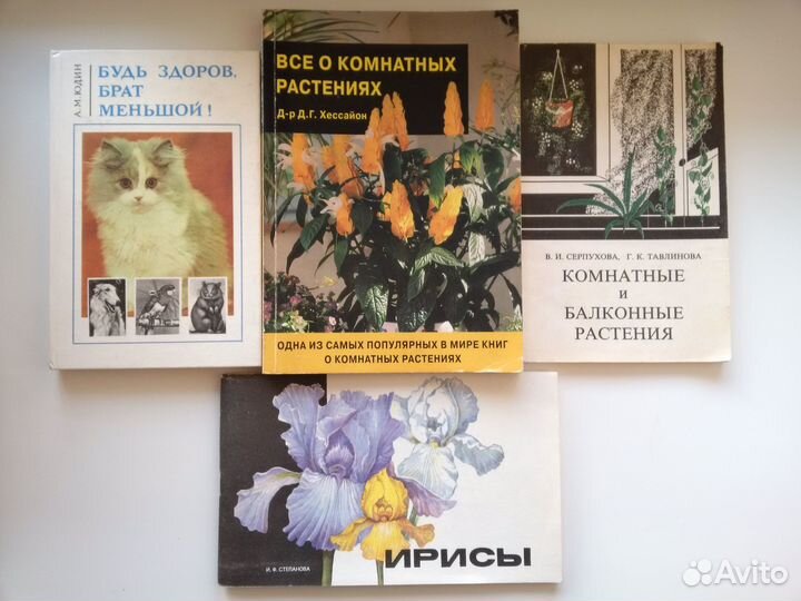 Кулинария садоводство шитье пчелы электротехника