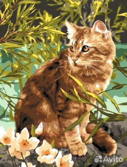 Картина по номерам 40x50 Котик у воды и цветов