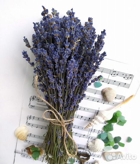 Украшение интерьера, лаванда