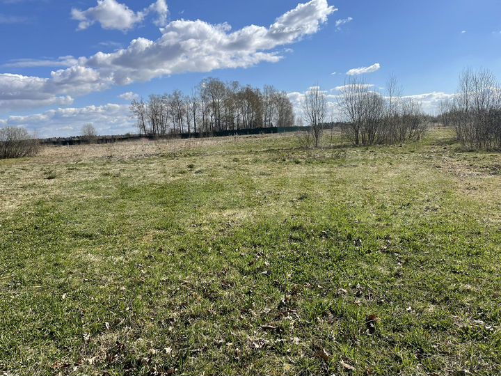 Участок 50 сот. (ИЖС)