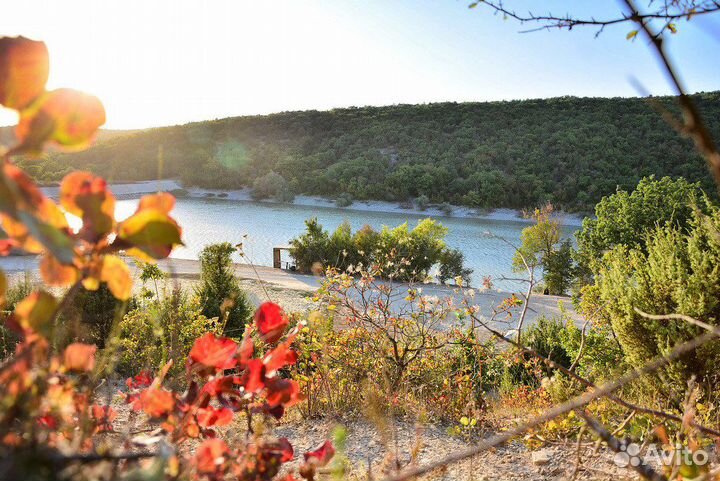 Конные прогулки