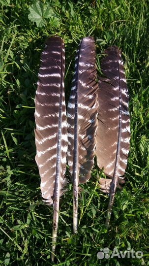 Перья для творчества, украшений