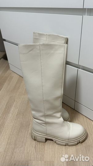 Сапоги женские демисезонные