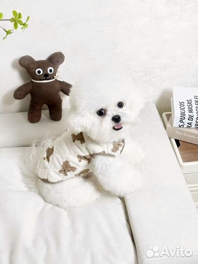 Жилетка для собак на клипсах в размере L