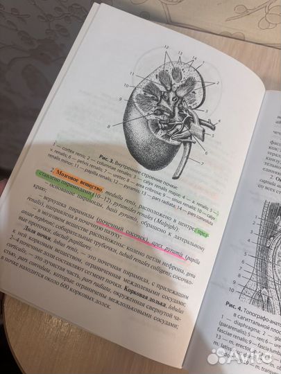 Методички Гайворонского