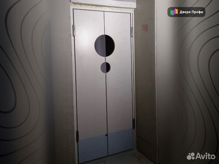 Дверь маятниковая