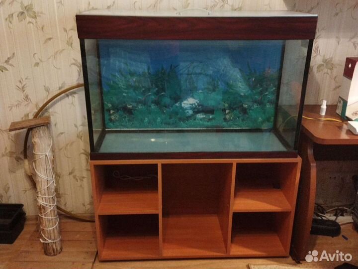 Аквариум