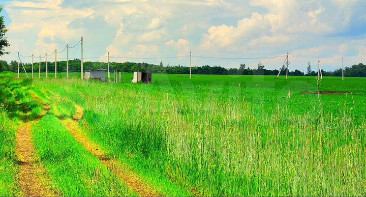 Участок 16 сот. (ИЖС)