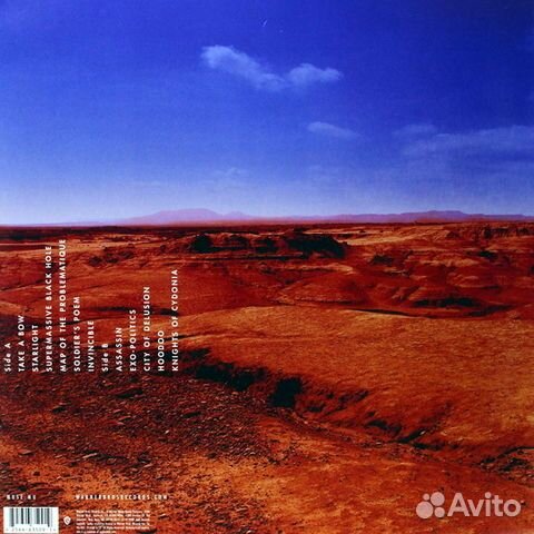 Muse / Black Holes And Revelations (LP)