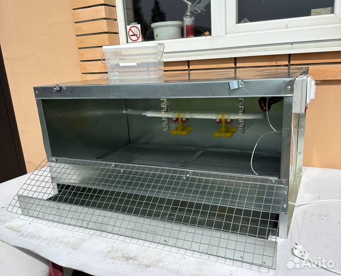 Брудер для цыплят