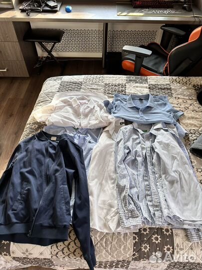 Рубашки, джемпер, поло