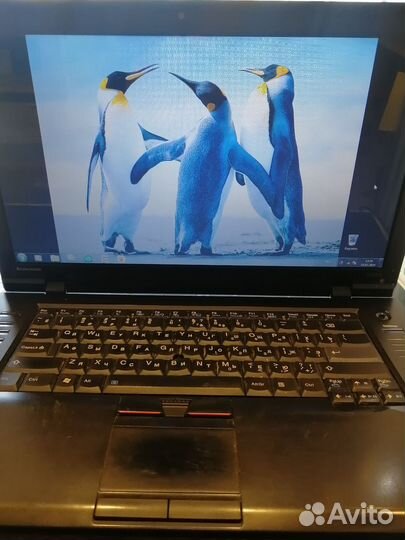 Ноутбук lenovo thinkpad