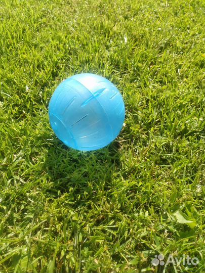 Шар прогулочный для джунгарского хомяка