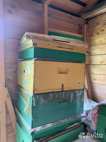 Улей для пчел бу