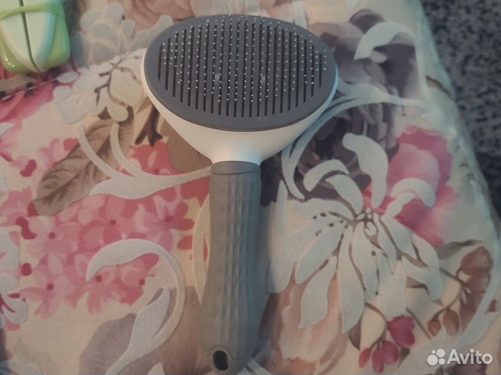 Карликовый кролик