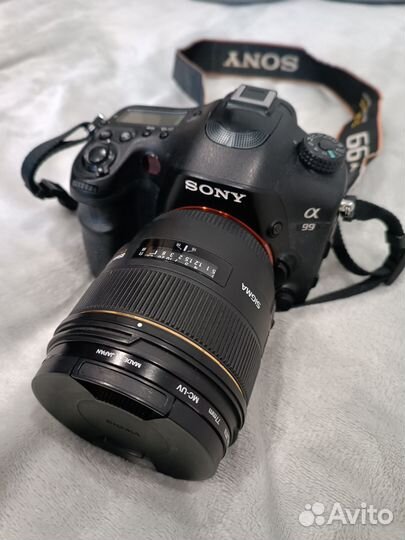 Sony A99 + Sigma 85 1.4