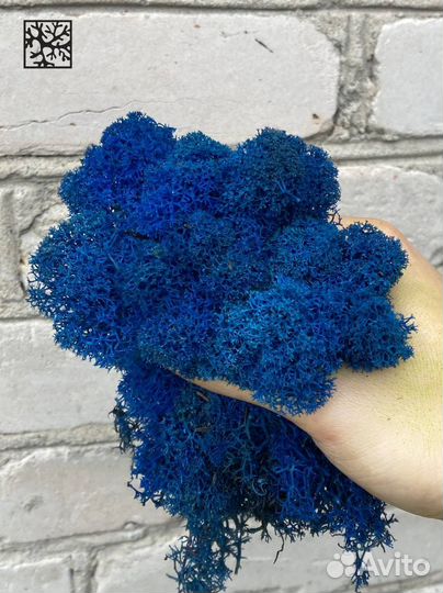 Мох для дизайна Зелёное Яблоко