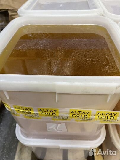 Свежий сбор. Мед светлое разнотравье, оптом