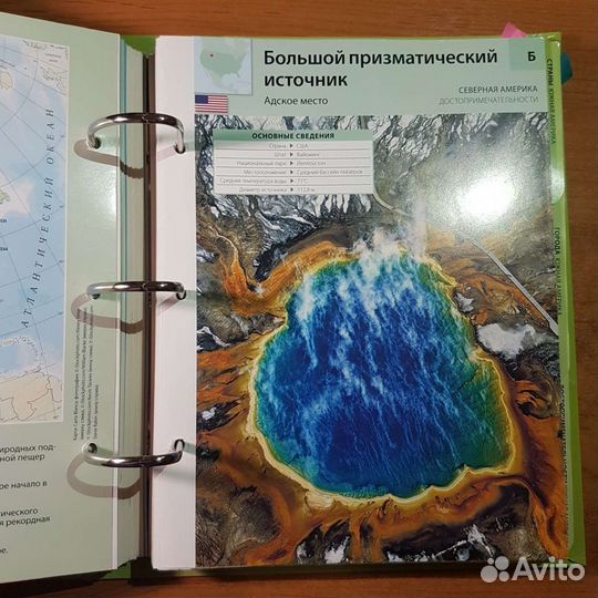 Мир на ладони