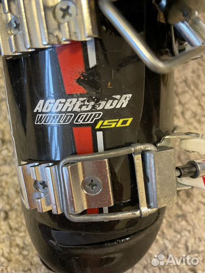 Горнолыжные ботинки