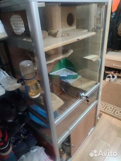 Витрина/клетка для шиншилл и грызунов бу