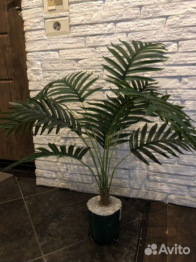 Искусственная пальма, декоративные растения
