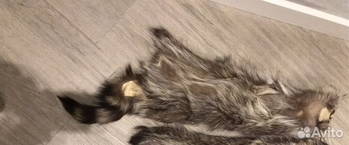 Шкура натуральная енот- полоскун