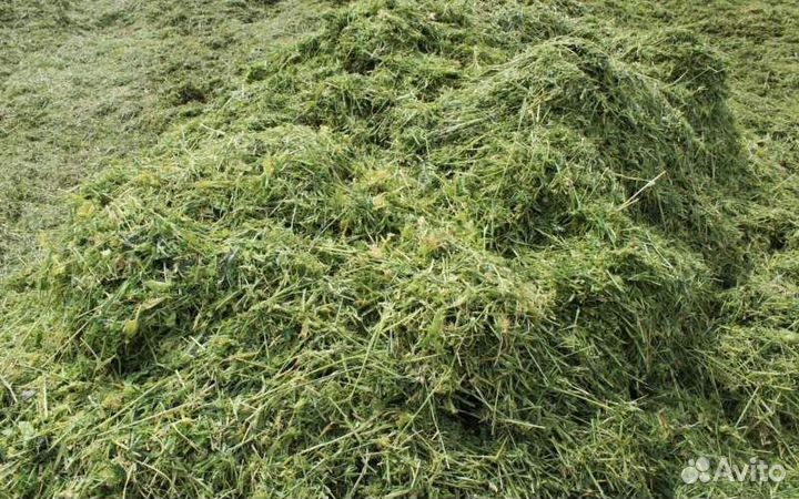 Продам сенаж
