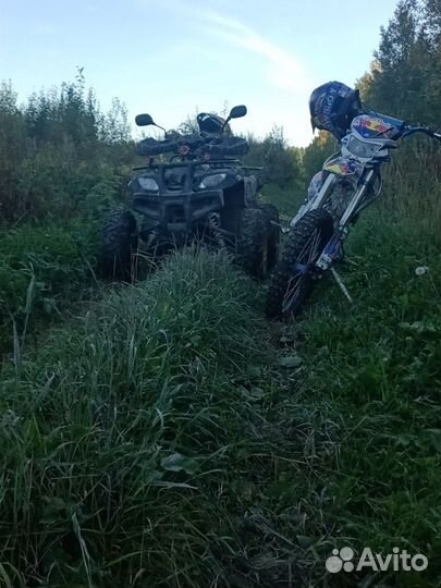 Motoland crf 125 19/16