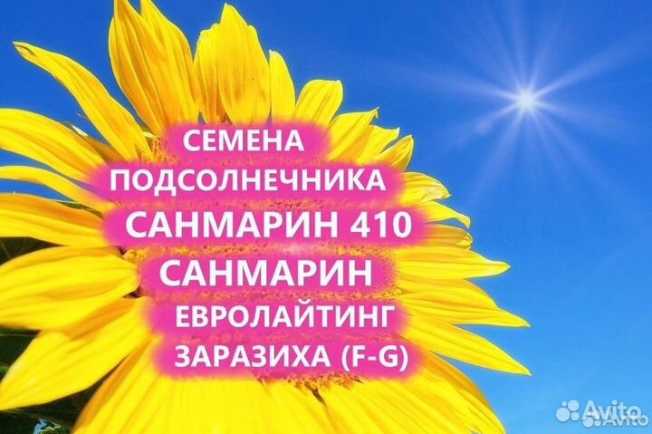 Семена подсолнечника Санмарин 410 Гибрид,Запорожье