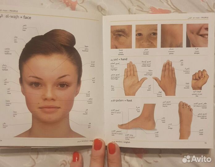 Арабско- английский визуальный словарь