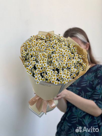 Ромашка полевая. Букет полевых цветов ромашек