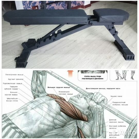 Атлетическая скамья многофункциональная