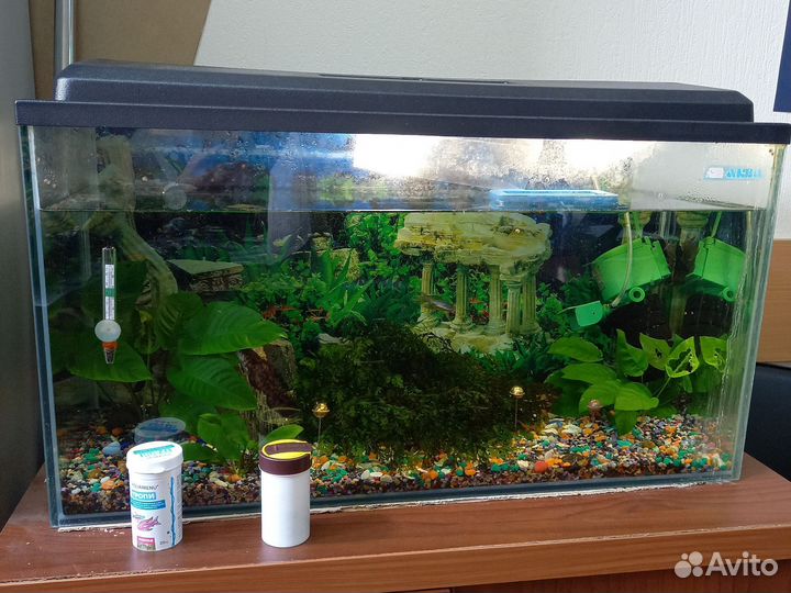 Аквариум с рыбками