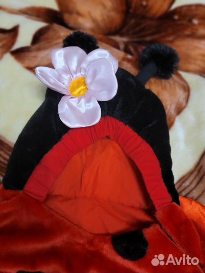 Божья коровка