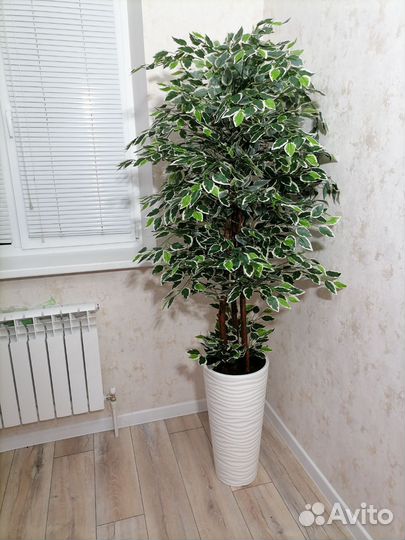 Искусственное дерево, фикус